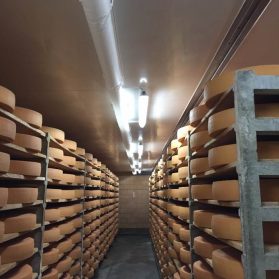 IMG_4022-fi4306746x520