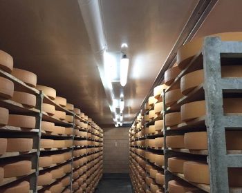 IMG_4022-fi4306746x520