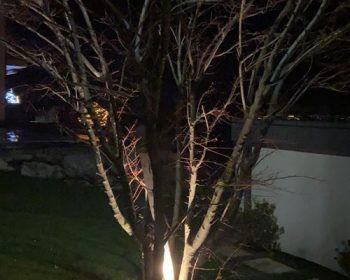 WhatsApp Image 2020-12-01 at 18.30.08-fi27714292x470